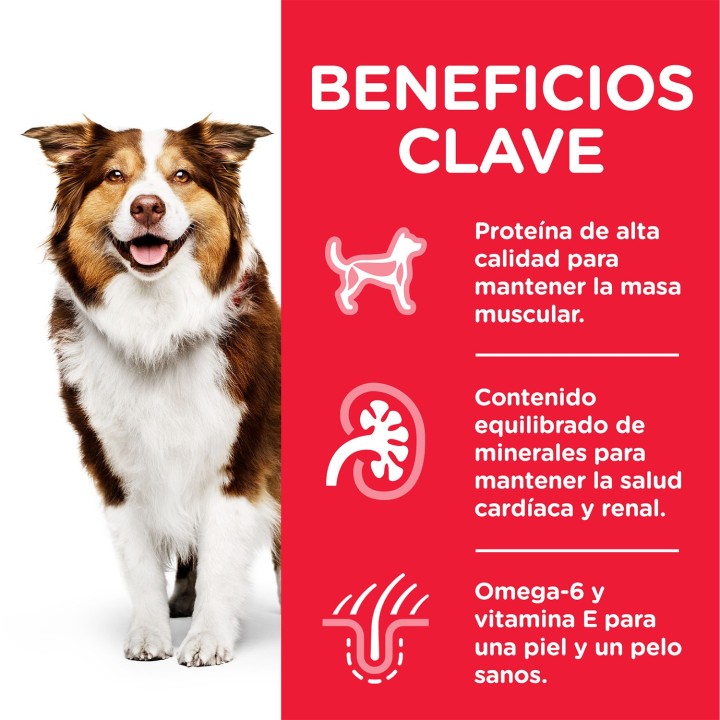 Hill's Science Plan Mature Adult 7+ Active Longevity - Kompymascotas