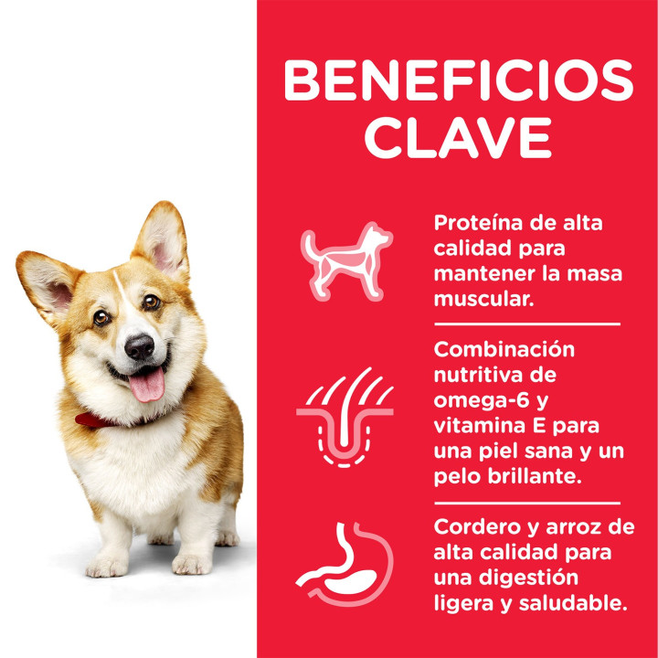 Hill's Science Plan Canine Adult , pienso para perros - Kompymascotas