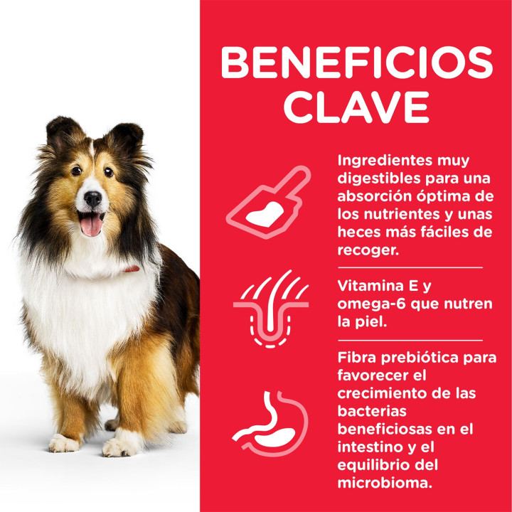 Hill's Science Plan Canine Adult Sensitive Stomach & Skin, Pienso para perros - Kompymascotas
