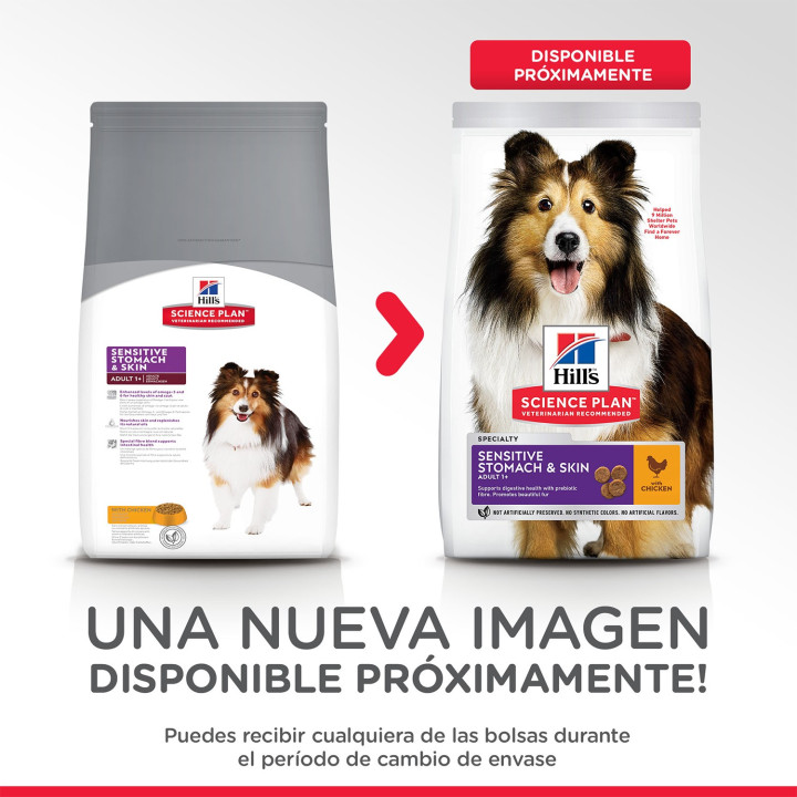 Hill's Science Plan Canine Adult Sensitive Stomach & Skin, Pienso para perros - Kompymascotas