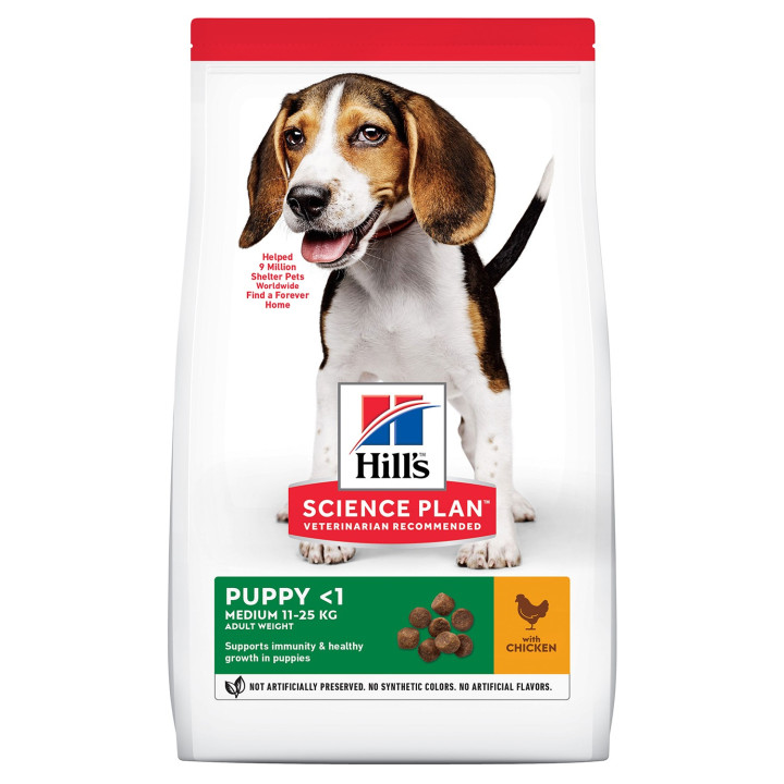 Hill's Science Plan Puppy Healthy, pienso para perros medianos - Kompymascotas