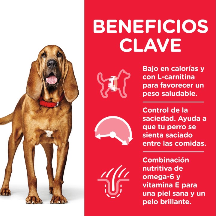 Hill's Science Plan Mature Adult 7+ Light Pienso para perros - Kompymascotas