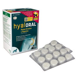 Hyaloral Razas Grandes y Gigantes, complemento alimenticio - Kompymascotas