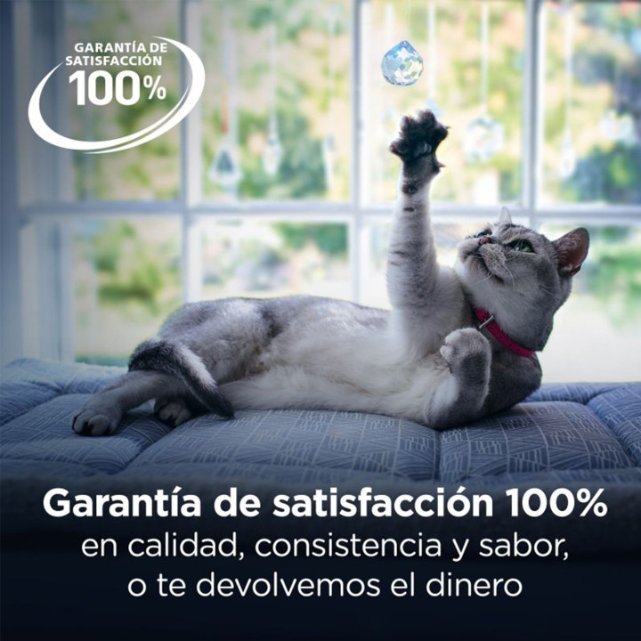 Prescription Diet Feline GI Biome