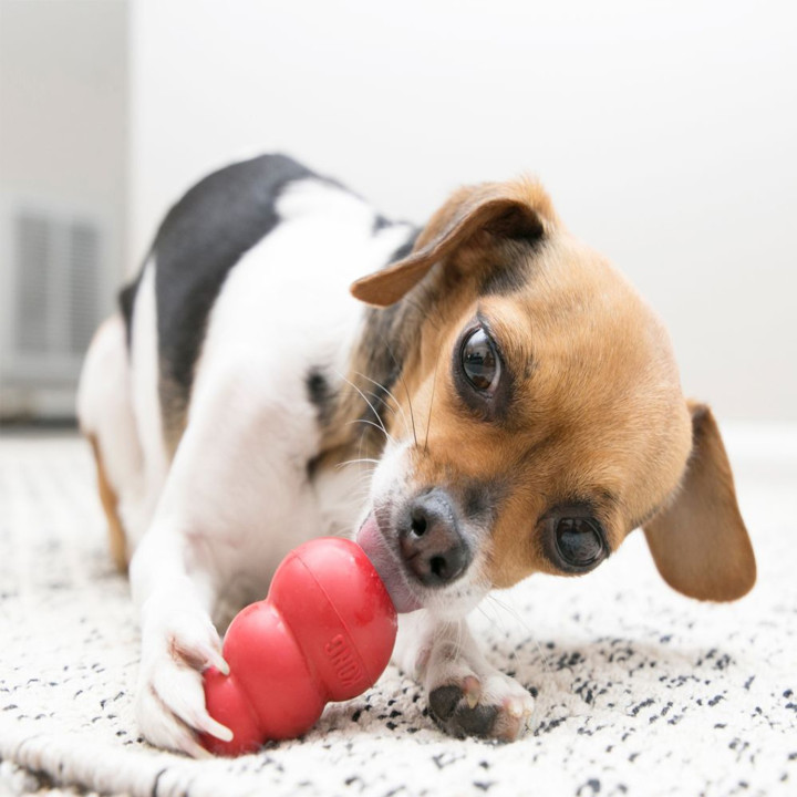 Kong Classic, Juguetes para perros - Kompymascotas