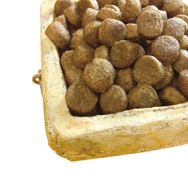 Fácil digestión y alto valor nutritivo 