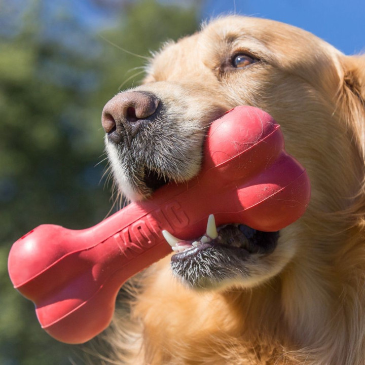 KONG GODDIE BONE