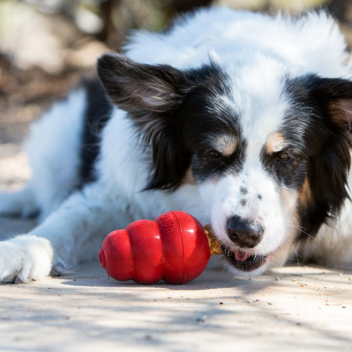 Kong Snacks Liver