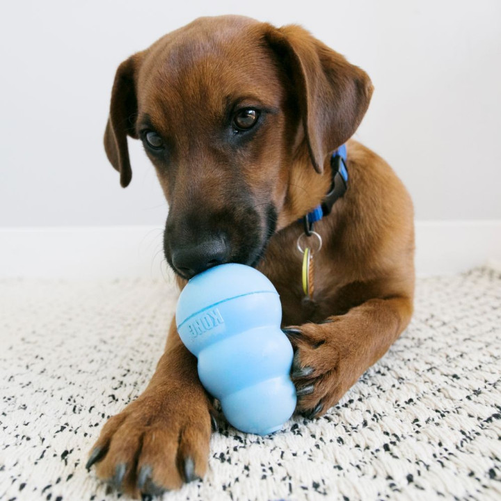 Kong Snacks Puppy 