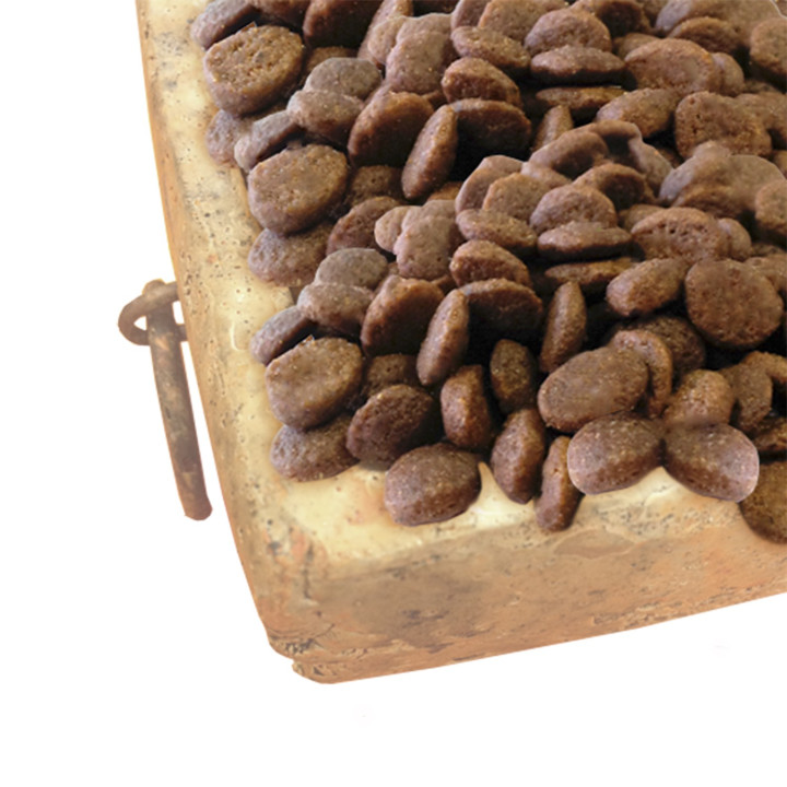  alta cantidad de proteína, ideal para las razas de gatos adultos