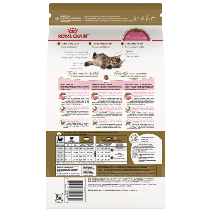 Royal Canin Kitten Maine Coon pienso para gatito - Kompymascotas