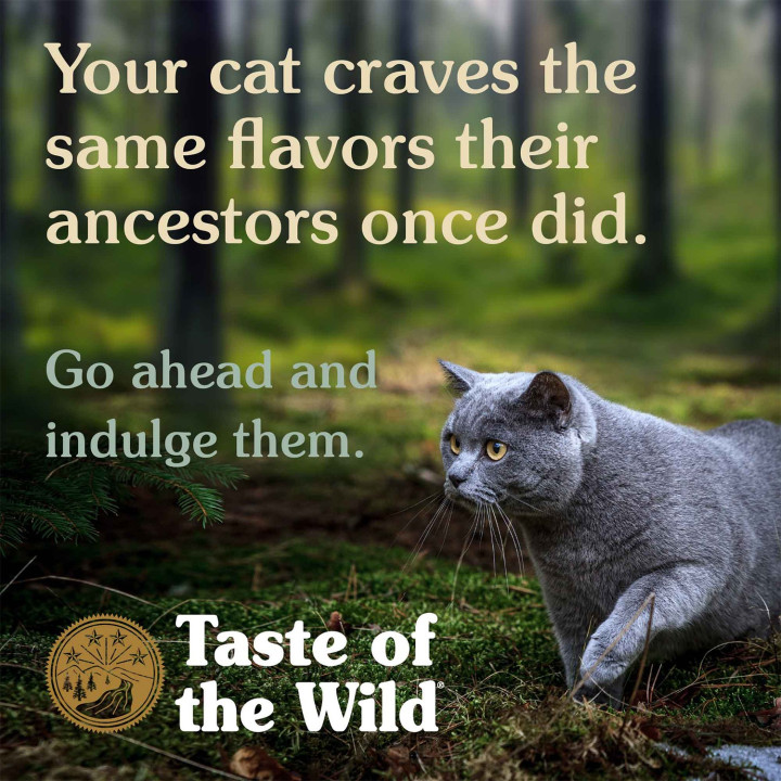 Taste of the Wild Lowland Creek Gato Codorniz