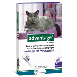 Pipetas antiparasitarias Advantage, Pipetas para gatos - Kompymascotas