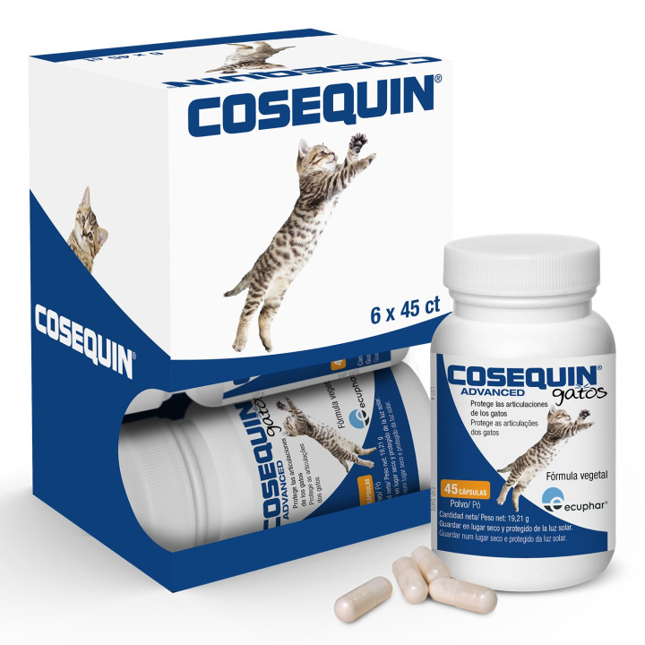 Cosequin Gatos, Salud para gatos - Kompymascotas