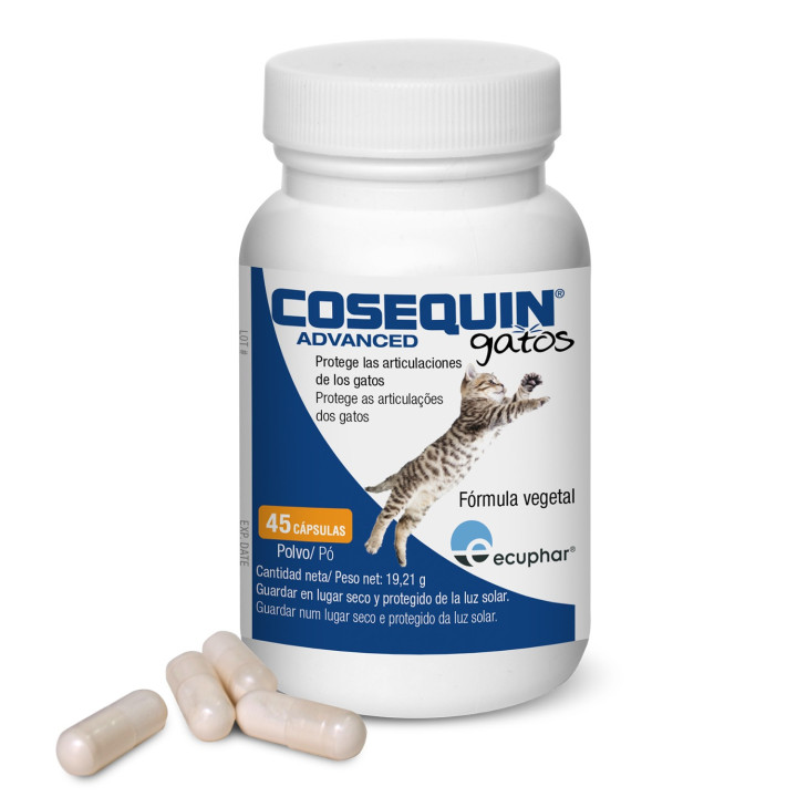 Cosequin Gatos, Salud para gatos - Kompymascotas