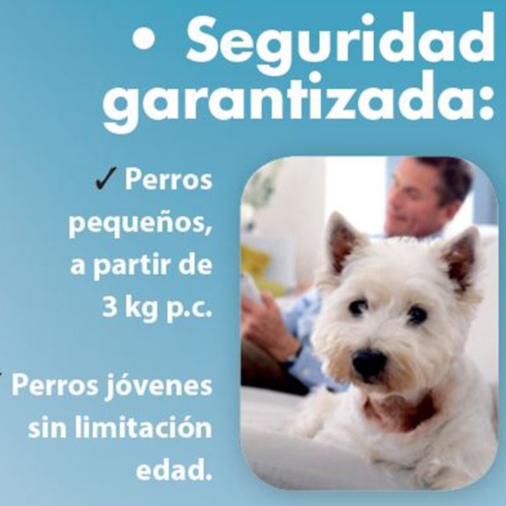 Collar antiparasitario Kiltix para perros - Kompymascotas