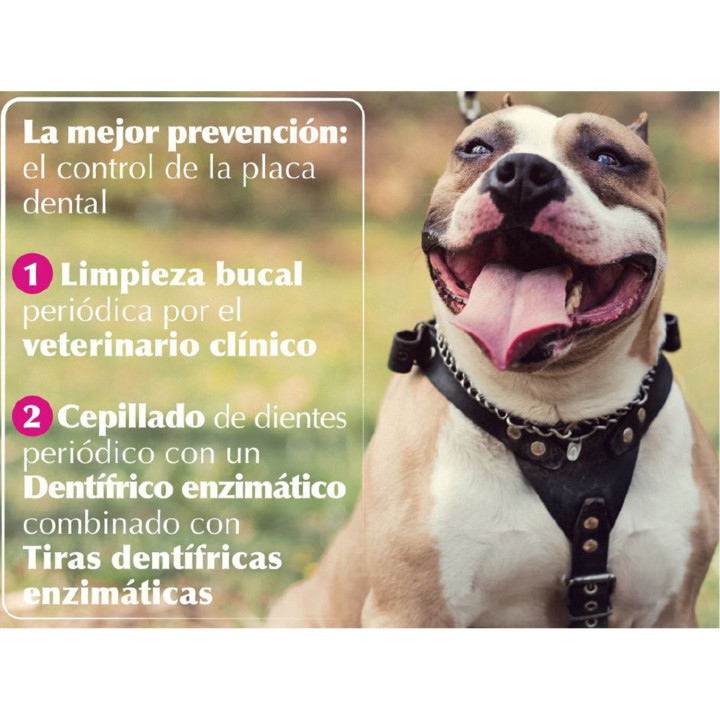 Orozyme Gel Dentífrico, higiene bucal para mascotas - Kompymascotas