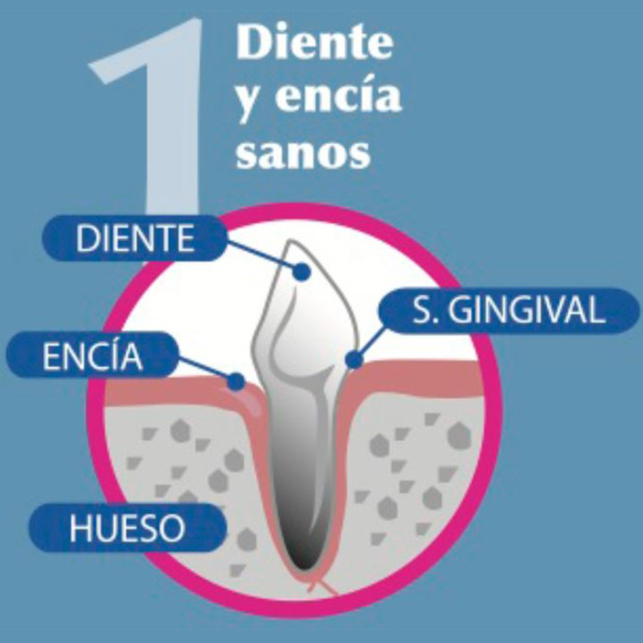 Orozyme Gel Dentífrico, higiene bucal para mascotas - Kompymascotas