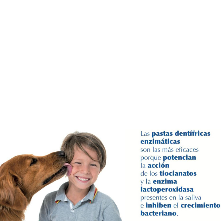 Orozyme Tiras Dentífricas, snacks para perro - Kompymascotas