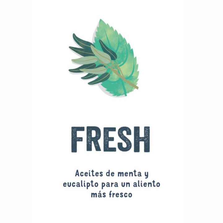Edgard & Cooper Barritas Dentales Fresa y Menta
