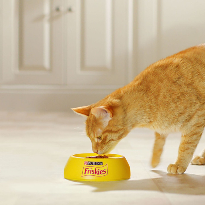 Purina Friskies Cat Adult Buey Pollo Verduras
