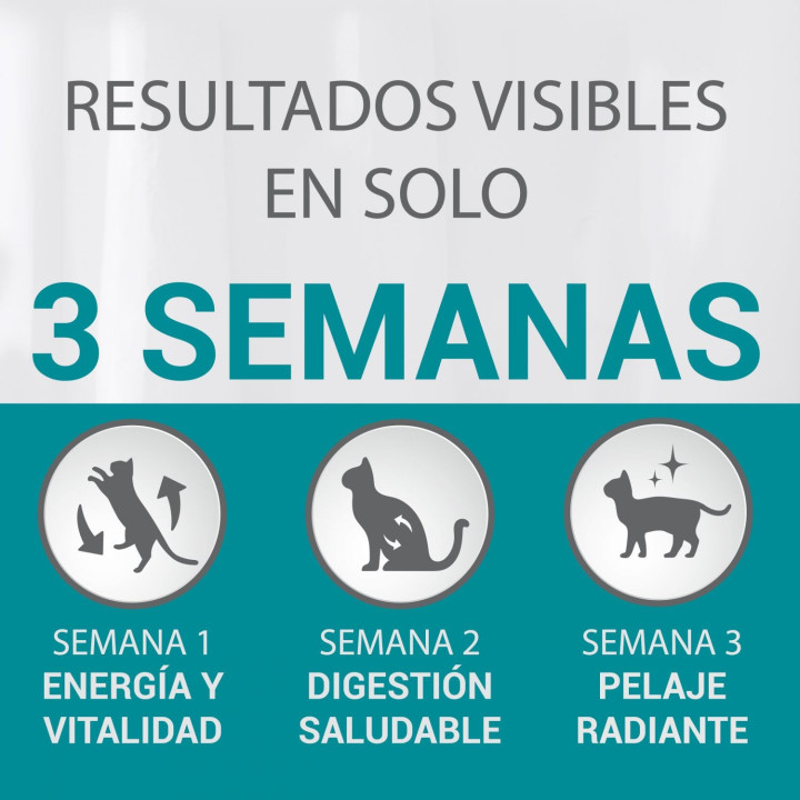 Purina One Bifensis Esterilizados, pienso para gatos - Kompymascotas