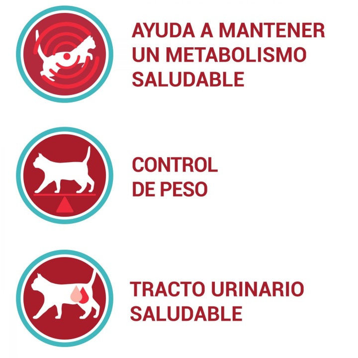 Purina One Bifensis Esterilizado Rico en Pollo