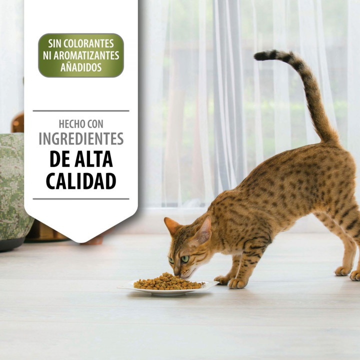 Purina Pro Plan Gato Delicate Optidiges Pavo - Kompymascotas