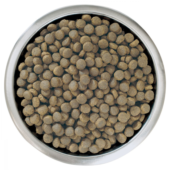 Purina Pro Plan Large Robust Puppy Pienso para perros - Kompymascotas