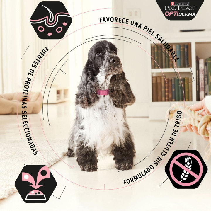 Purina Pro Plan Adult Sensitive Skin Pienso para perros - Kompymascotas