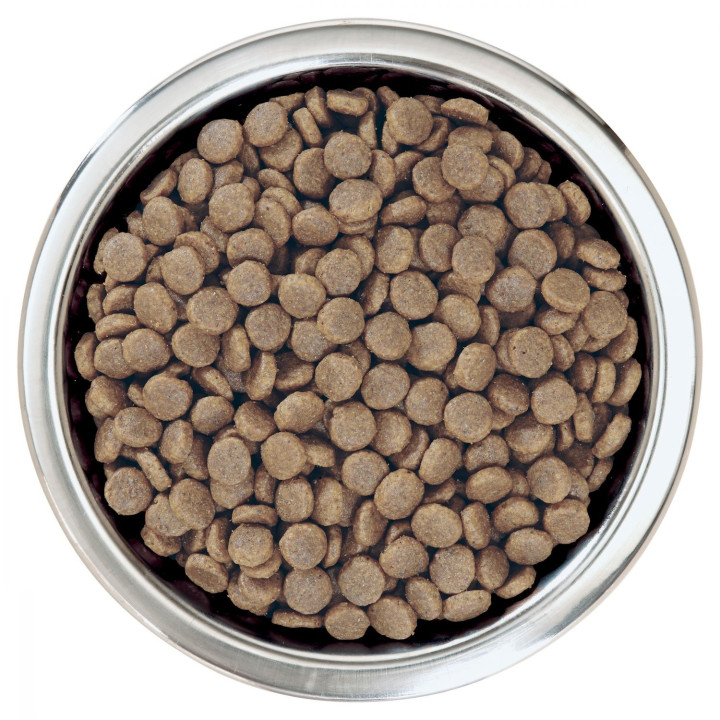 Purina Pro Plan Medium Puppy Original Pienso para perros - Kompymascotas