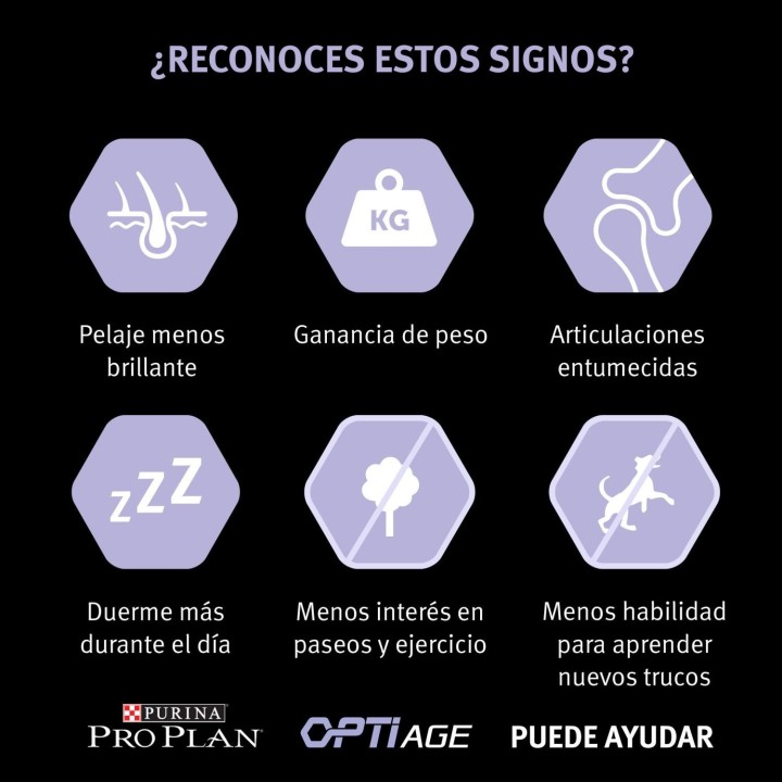 Purina Pro Plan Small & Mini Adult 9+ Pienso para perros - Kompymascotas