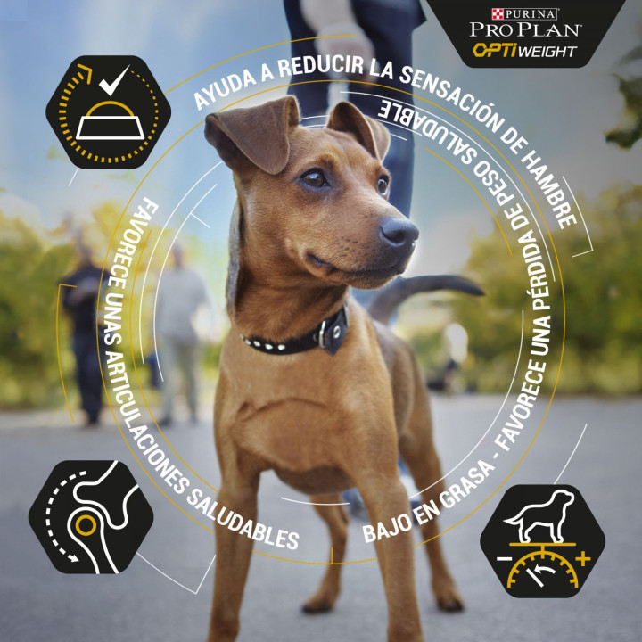 Purina Pro Plan Adult Sterilised Original Pienso para perros - Kompymascotas