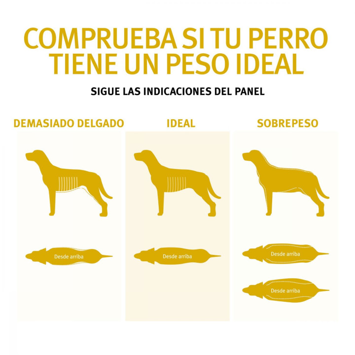 Purina Pro Plan Adult Sterilised Original Pienso para perros - Kompymascotas
