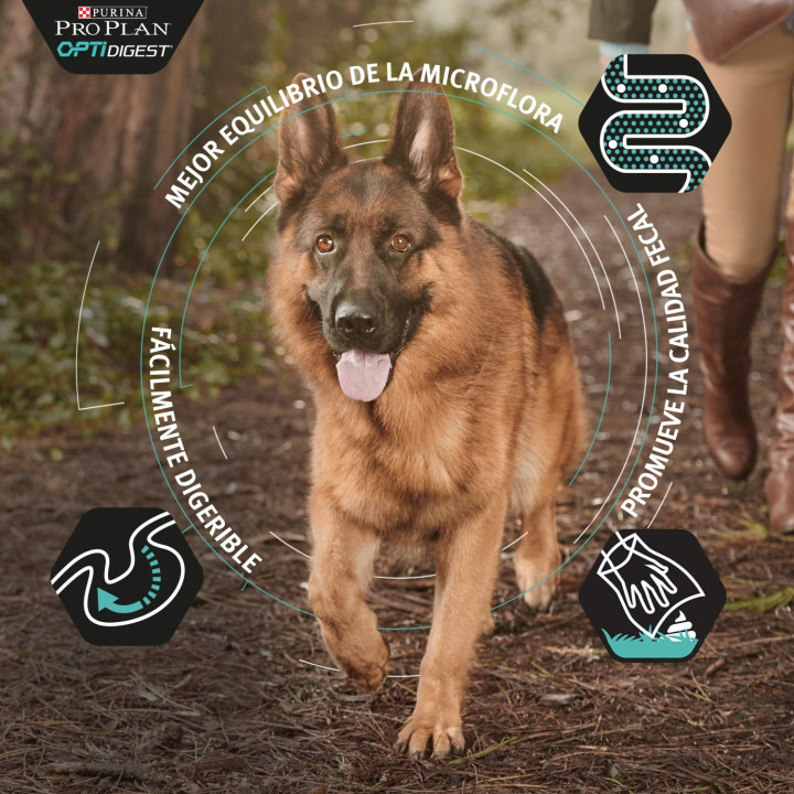 Purina Pro Plan Large Adult Robust Digest (Cordero), Pienso y Comida Húmeda - Kompymascotas