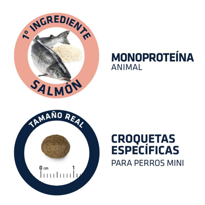 Advance Mini Sensitive con salmón y arroz Pienso para perros - Kompymascotas