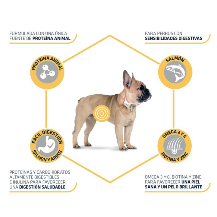 Advance Mini Sensitive con salmón y arroz Pienso para perros - Kompymascotas