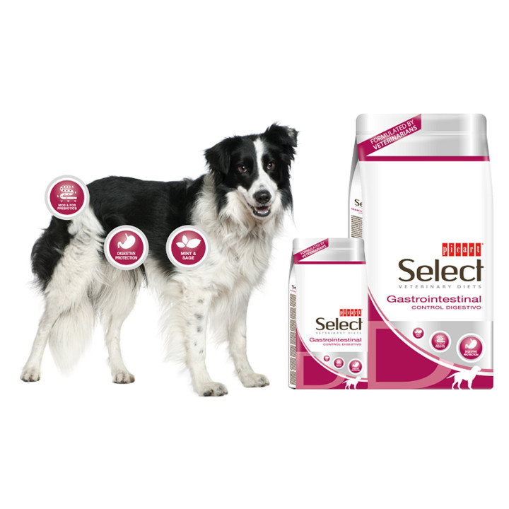 Select Veterinary Diets Digestion, pienso veterinario para perros - Kompymascotas