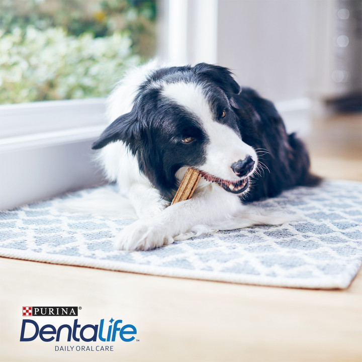 Purina Dentalife perros medianos, Snack y golosinas - Kompymascotas