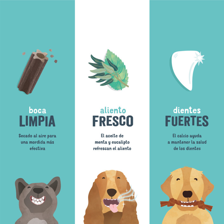 Edgard & Cooper Barritas Dentales Fresa y Menta