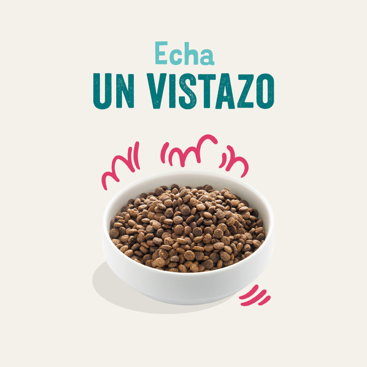Edgard & Cooper, pienso natural para perros - Kompymascotas