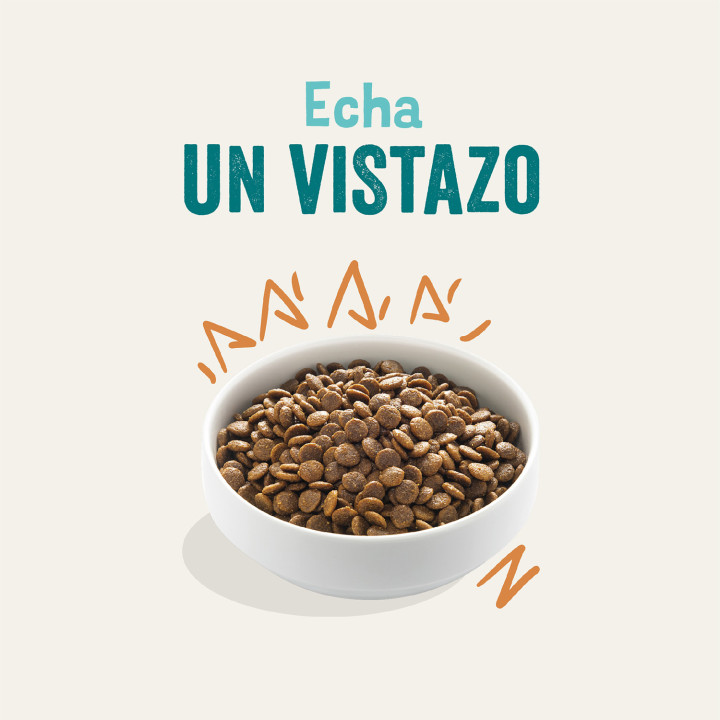 Edgard & Cooper, pienso natural para perros sin cereales - Kompymascotas