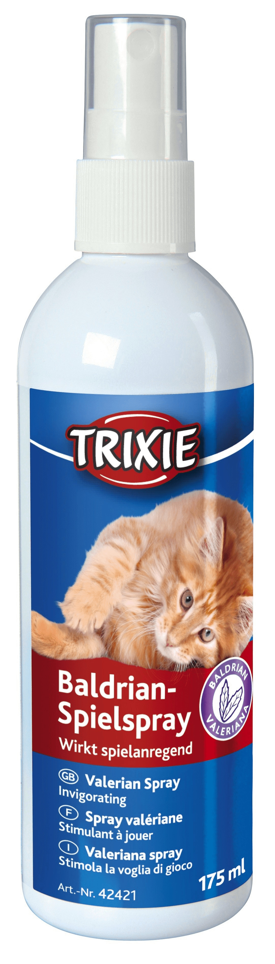 Estrés en gatos