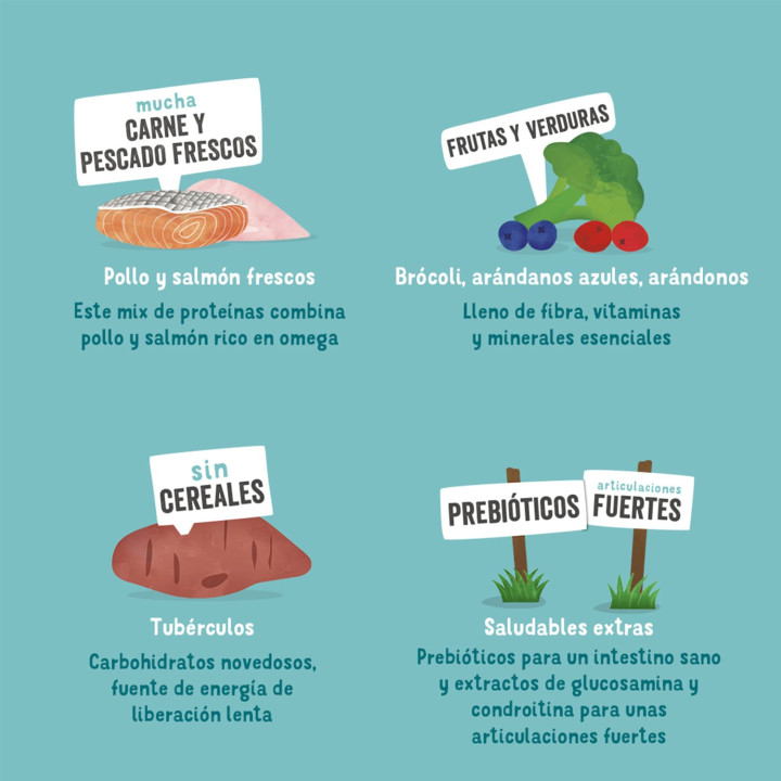 Edgard & Cooper, pienso natural para perros - Kompymascotas
