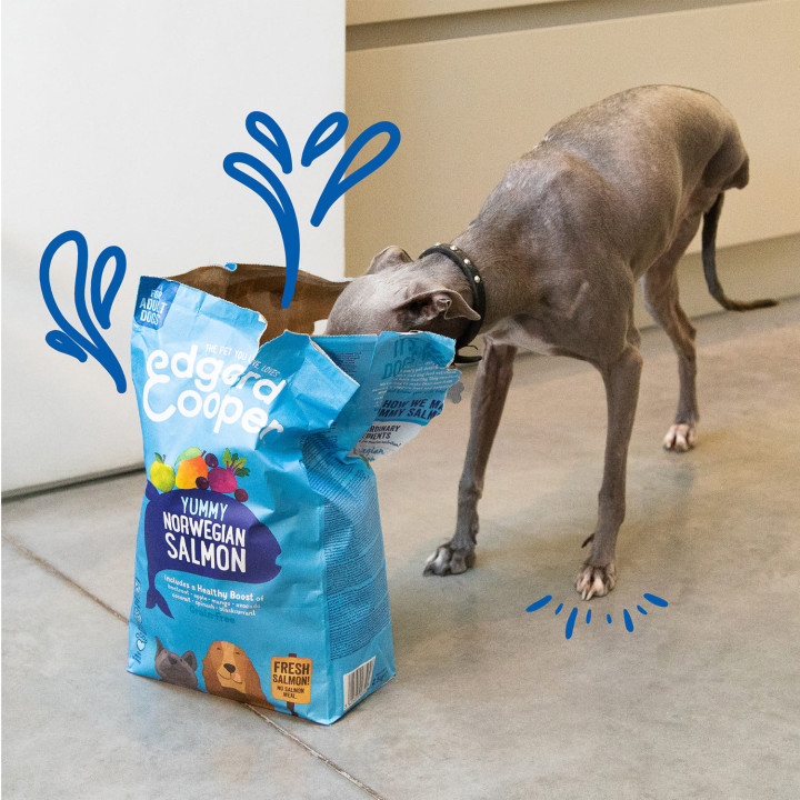 Edgard & Cooper, pienso natural para perros - Kompymascotas