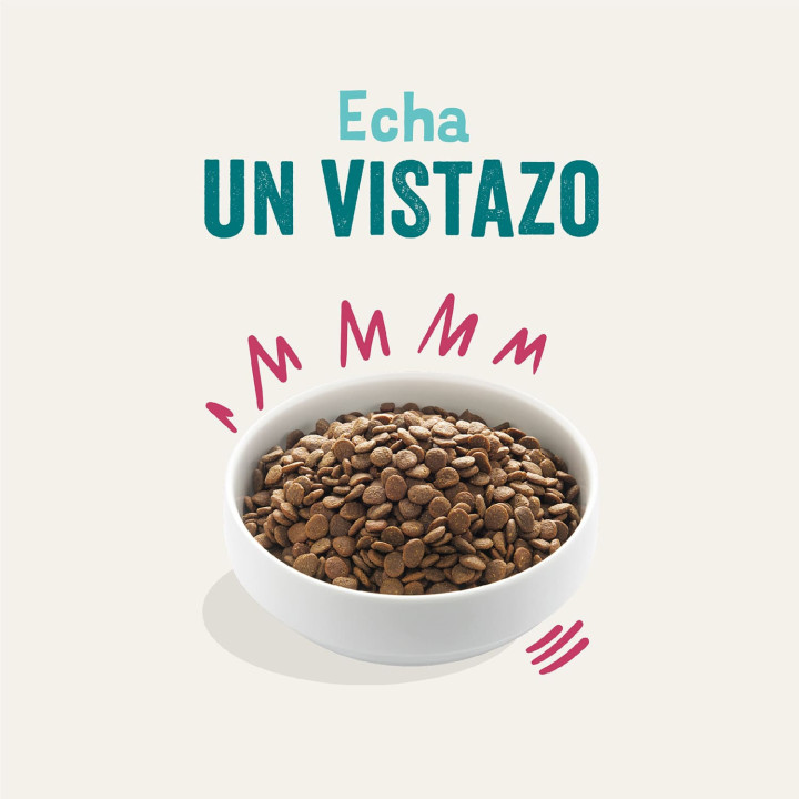 Edgard & Cooper, pienso natural para perros - Kompymascotas
