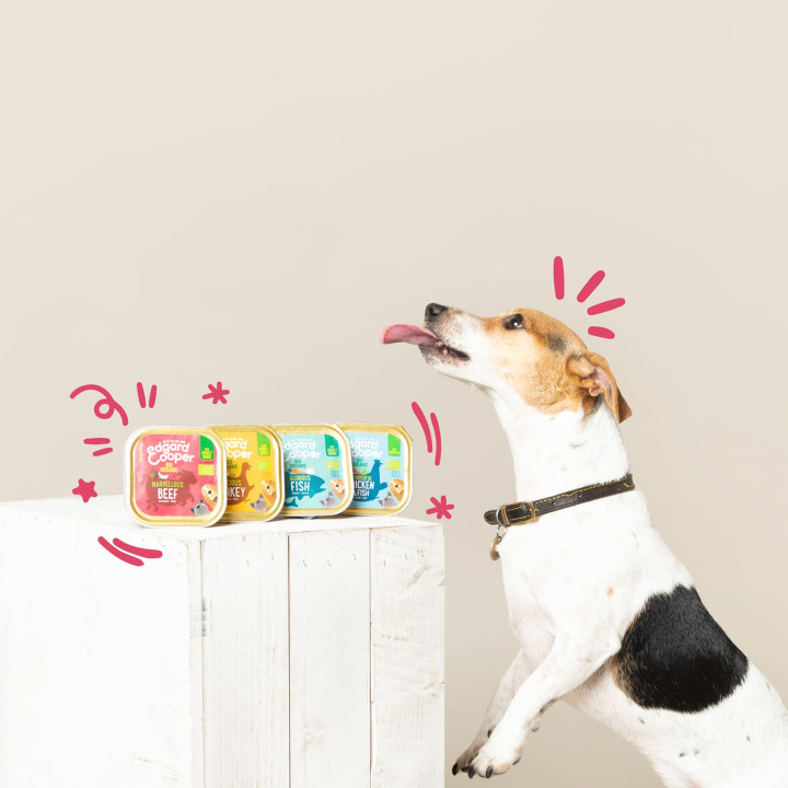 Edgard & Cooper, comida húmeda natural para perros - Kompymascotas