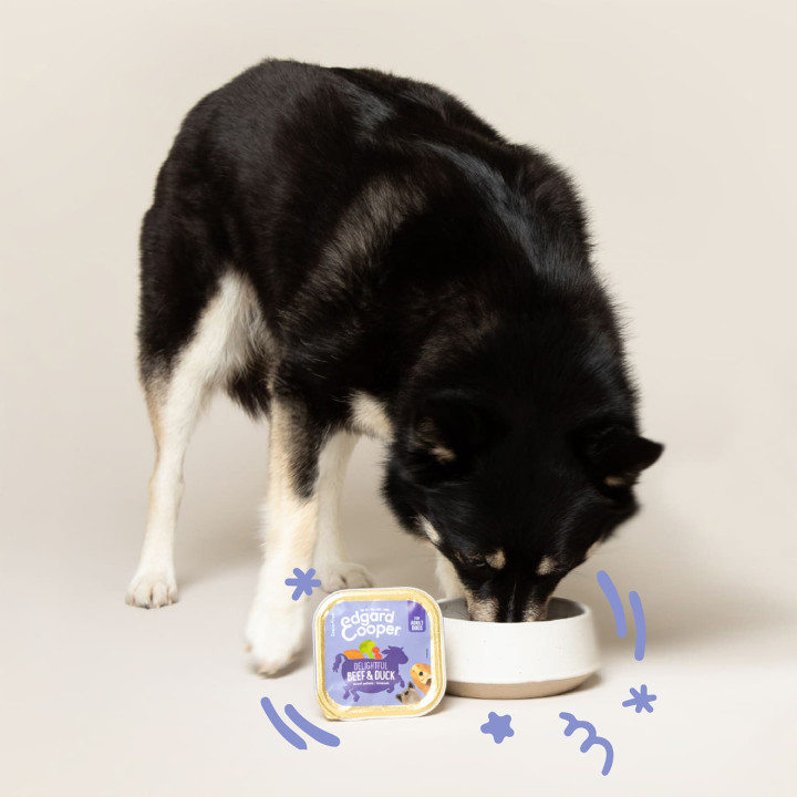 Edgard & Cooper, comida húmeda natural para perros - Kompymascotas