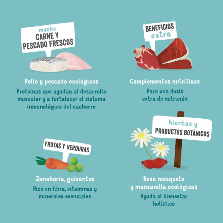 Edgard & Cooper, comida húmeda natural para perros - Kompymascotas