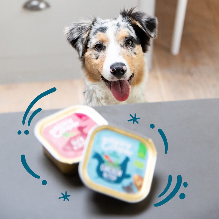 Edgard & Cooper, comida húmeda natural para perros - Kompymascotas